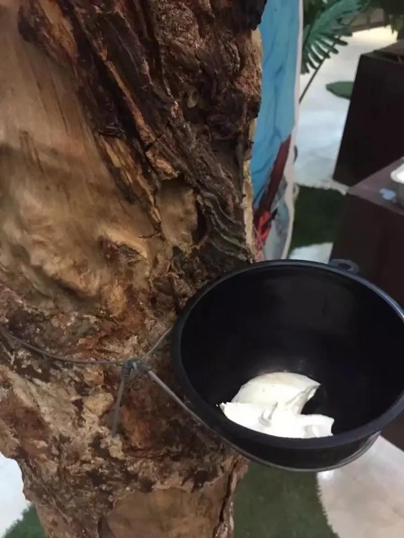 来普吉岛后感觉好难受,普吉岛最后一天购物