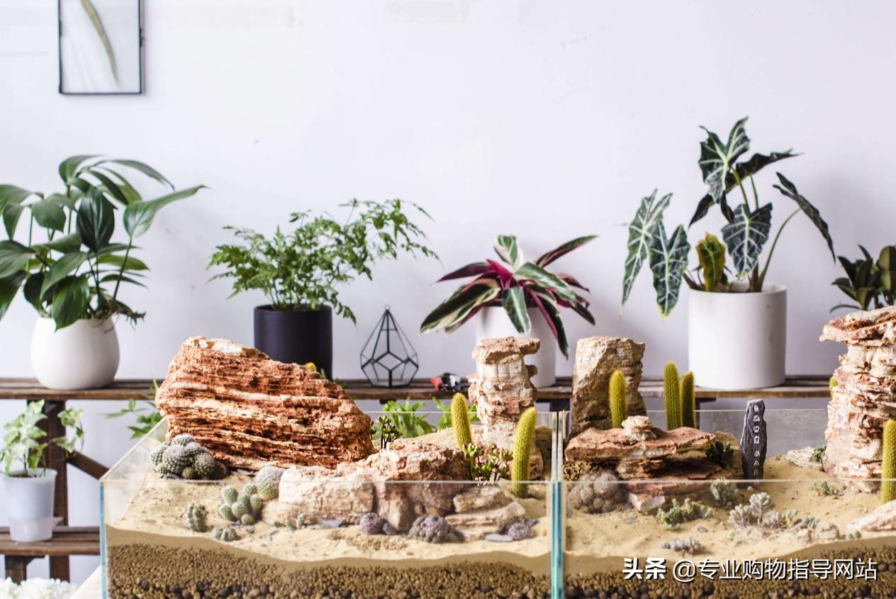 你光顾过的门客生活要凉凉