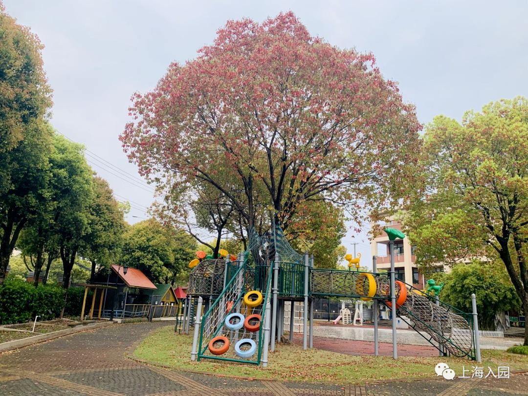 上海公立幼儿园错过了报名怎么办,上海幼儿园报名错过了还能上吗