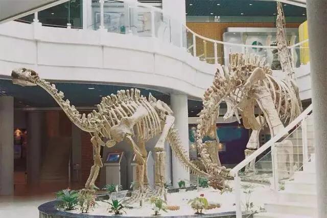 暑假去深圳哪个景点更好玩,暑假带孩子深圳必去的地方