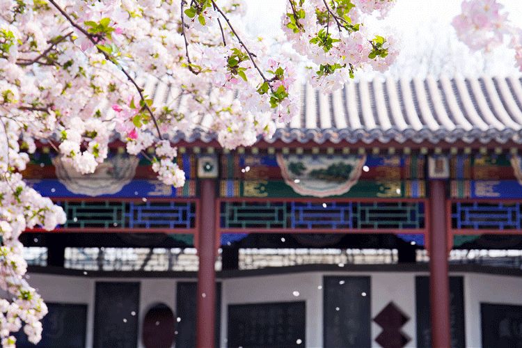 开怀一笑清除烦恼,开怀一笑无烦恼完整版