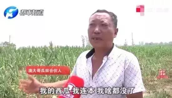 瓜农西瓜被偷倒赔300元反转来了,农民西瓜被偷反倒赔300元