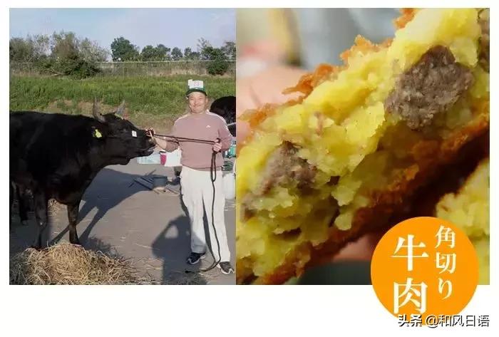 在日本买可乐饼,日本的可乐饼多少钱