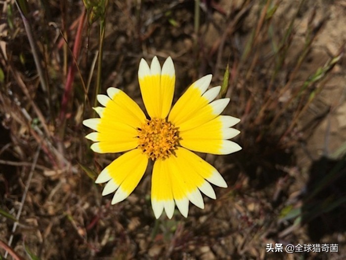 治愈强迫症的29张图片，看完整个人都舒爽了