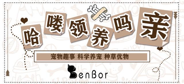 免拆线到底是拆还是不拆好,免拆线和普通线的利弊