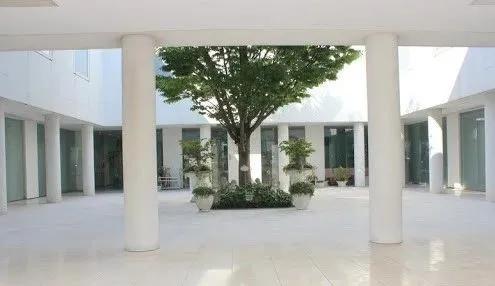 日本生育福利待遇,日本单身妈妈生孩子福利待遇