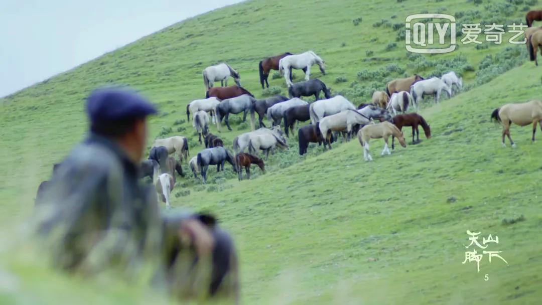 我国旅游日,中国旅游日5.19意义