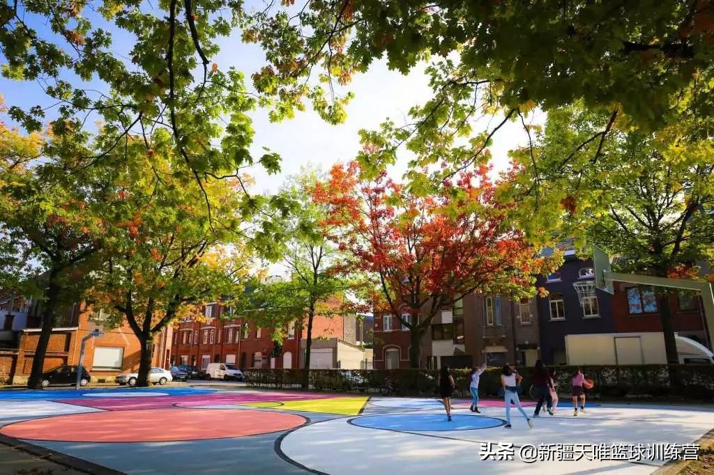 全球最美室内篮球场高清,世界最美户外篮球场