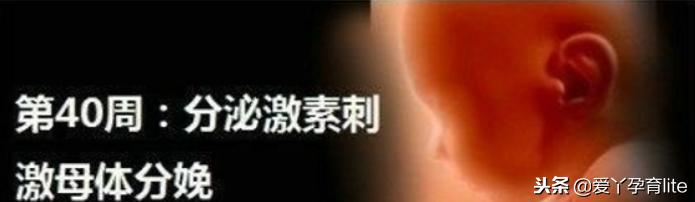 37周到40周做些什么产检,孕期产检知识大全