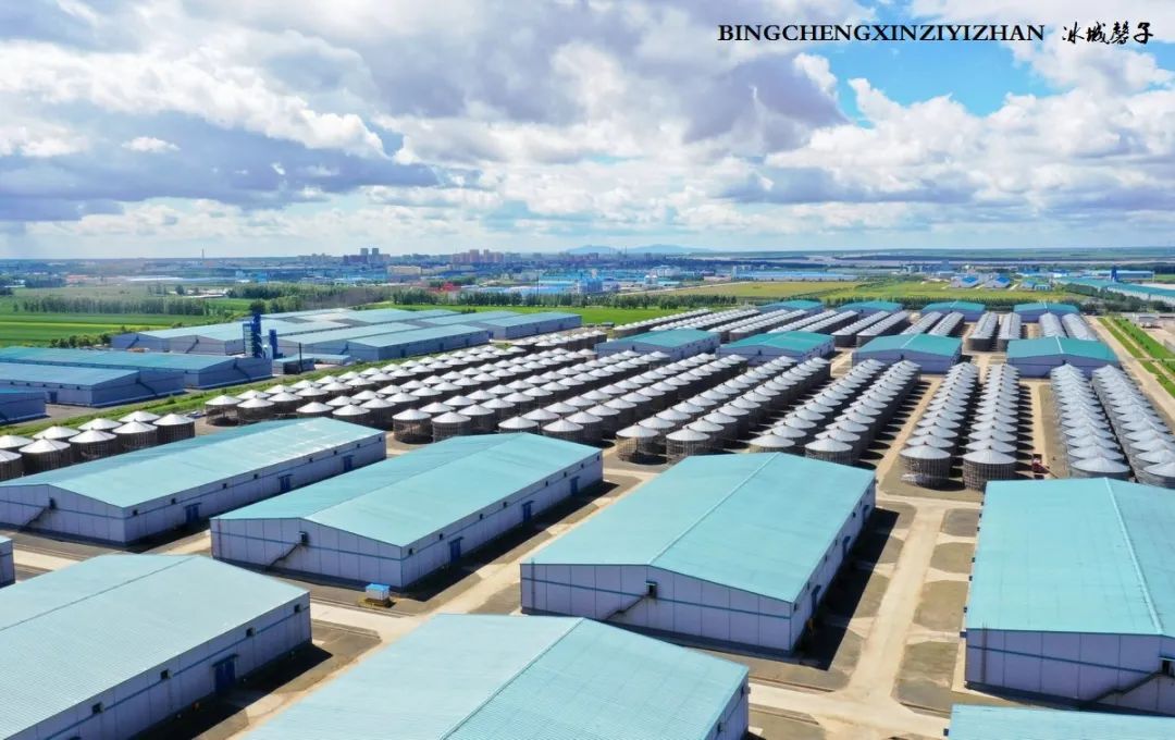 再返富锦，为着那份飘着稻花香的“湿”意约定