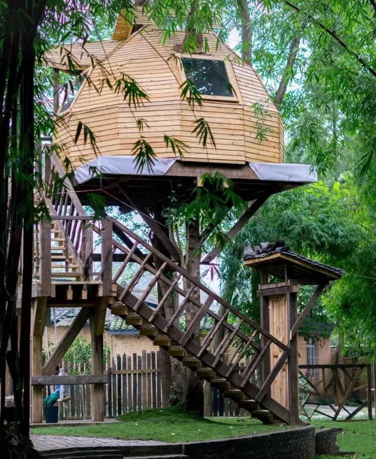 成都出发，一路向西的“旅行列车”年底开通！沿途好多……