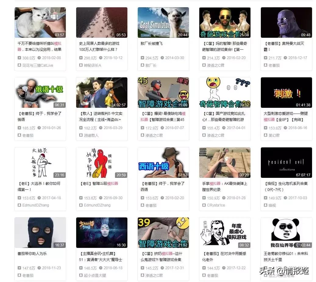 盘点各种奇葩的模拟器,可以模拟任何角色的游戏