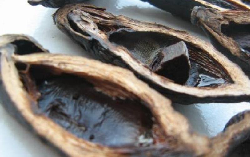 这种植物的果实害人不浅,什么植物的果实有毒又可以吃