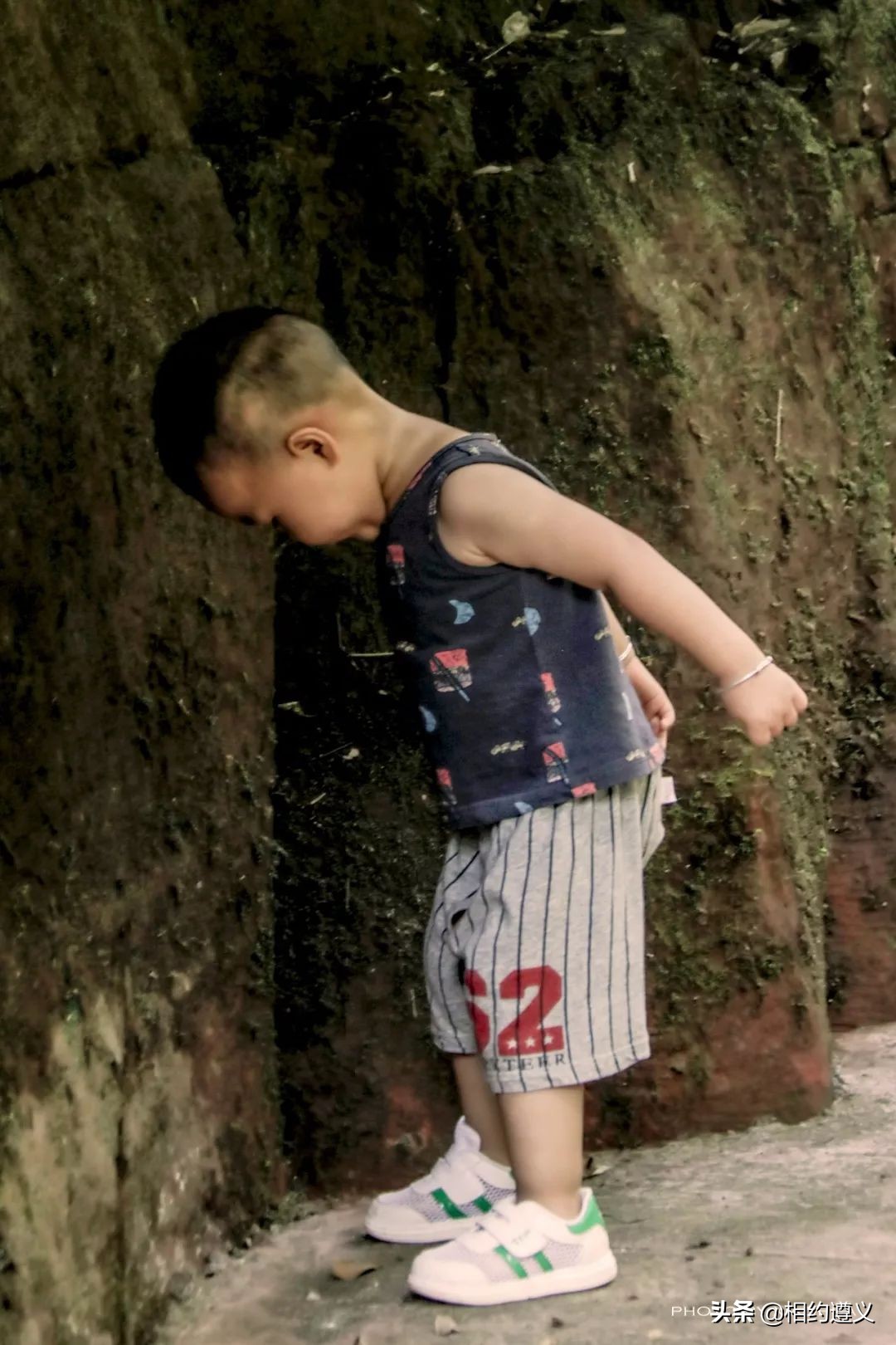 赤水大瀑布 侏罗纪公园 (世界唯一保留的侏罗纪原始公园)