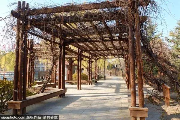 北京古塔公园推荐,北京最良心的古寺免费景点