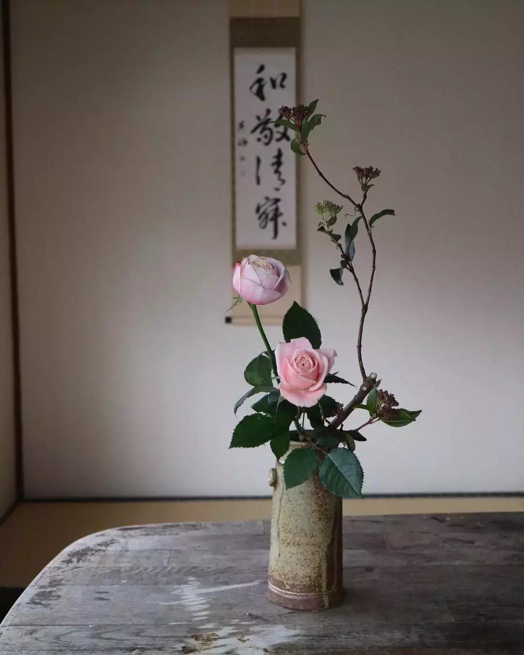 创意禅意插花月季盘花,禅意插花100例兰花