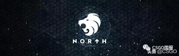 「职业圈」ENCE、Vitality、Fnatic、North队名由来，你猜的到吗