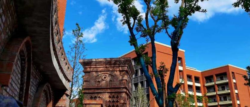 两江新区童心小学教育集团,重庆两江新区青禾童心小学校