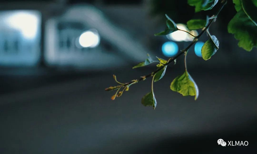 摄影爱好者的拍摄题材,一名业余摄影爱好者的简介