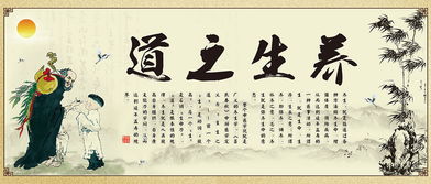 古人是如何养生的？除了打打拳散散步，他们还喜欢“乐疗”