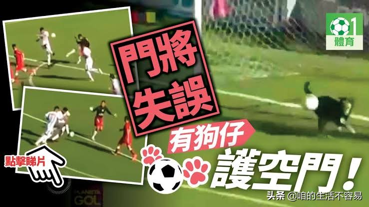 足球趣闻搞笑解说,世界关于足球的最新新闻