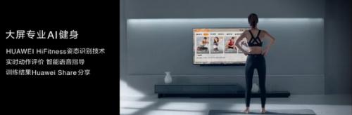 华为智慧全场景,华为智慧大屏幕手机