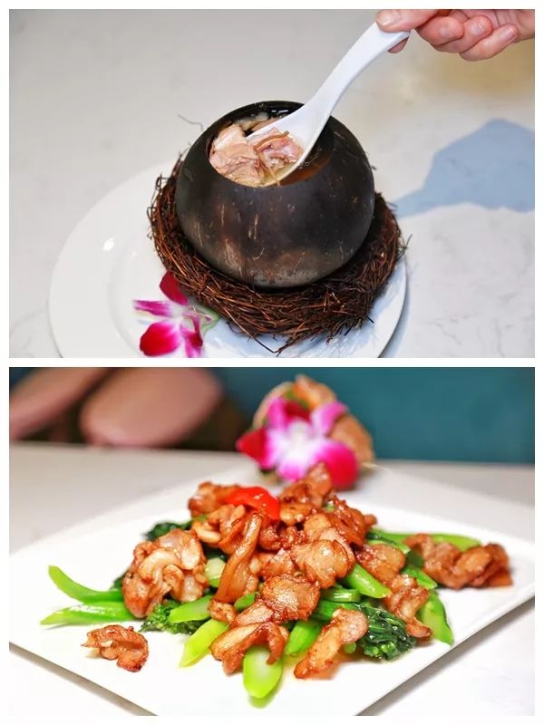 城市酒店好还是民宿好,度假酒店与城市酒店