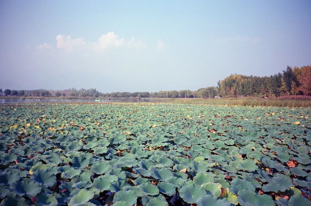 太格有物北京复古咖啡师,太格有物怎么样