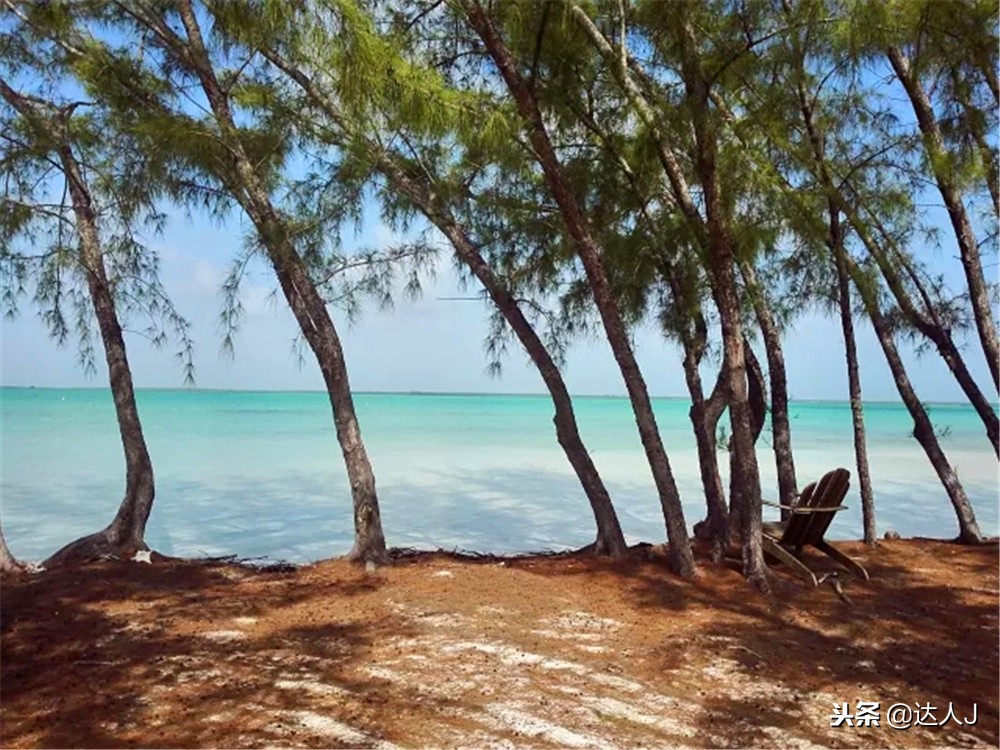 全国10大特色酒店,全国十大最具特色酒店