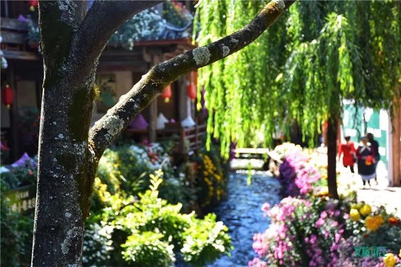 丽江避暑居住攻略,丽江避暑旅游攻略