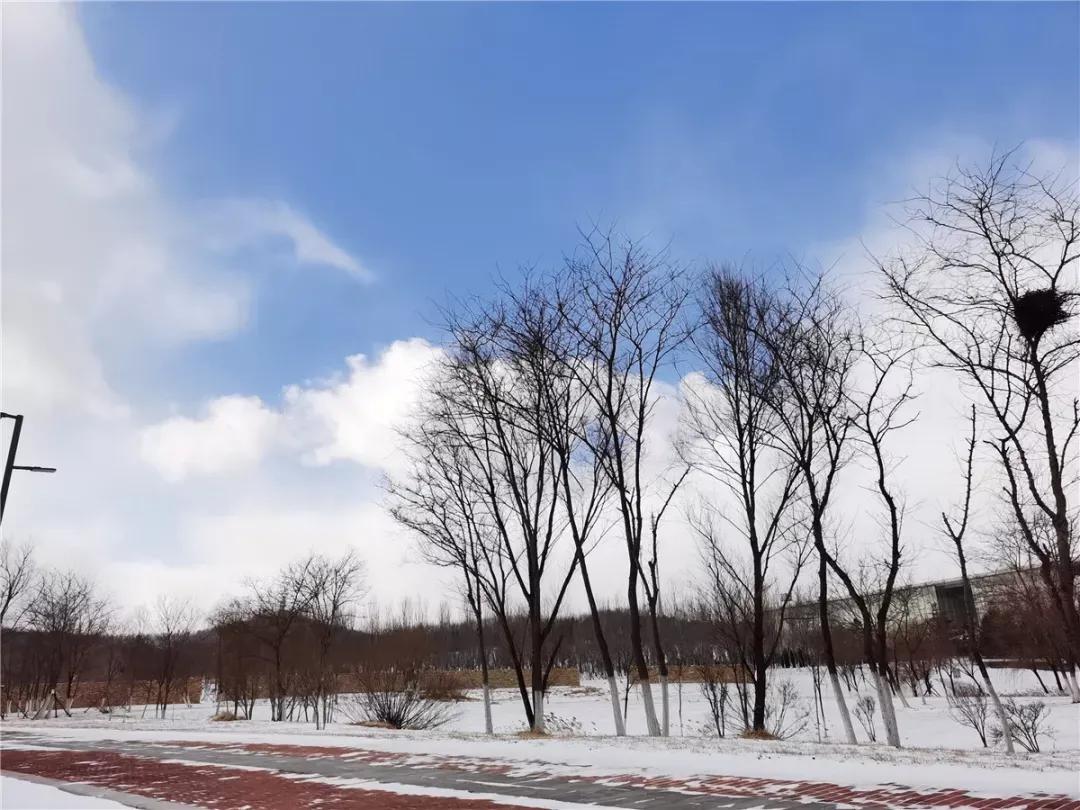 辽宁省高校（三十一）大连医科大学