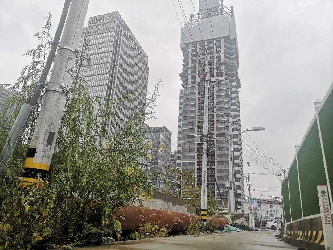上海真如来历,上海真如发展前景