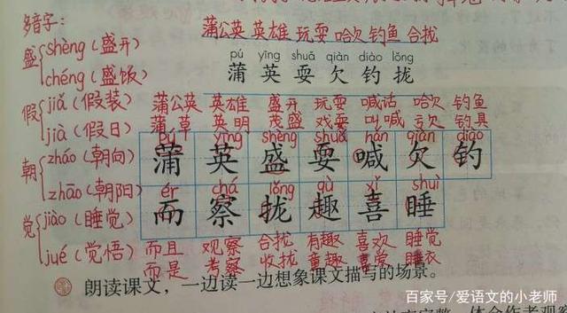 三年级上册语文金色的草地主题,三年级上册语文金色的草地手稿