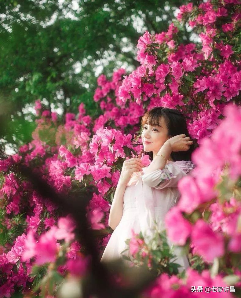 家家都会有烦心事好好面对,家家都有难事