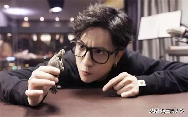 2022中国第一网红是谁,2019年10大网红排行榜