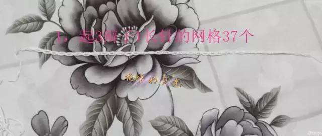 郁金香钩针连衣裙图案图解,钩针编织女士连衣裙视频图解过程