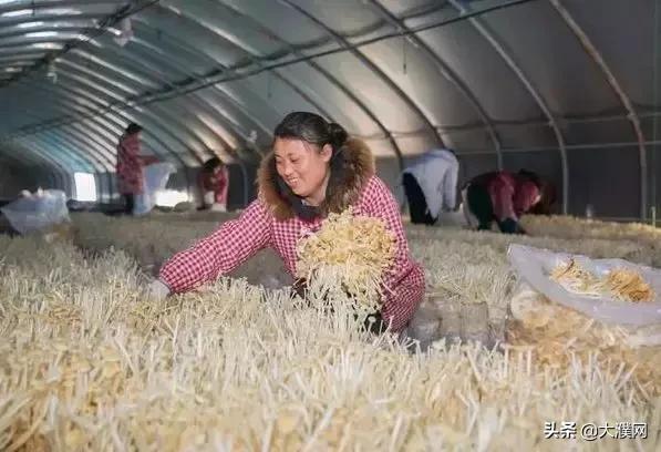 火力全开再创辉煌,火力全开火力翻倍原版