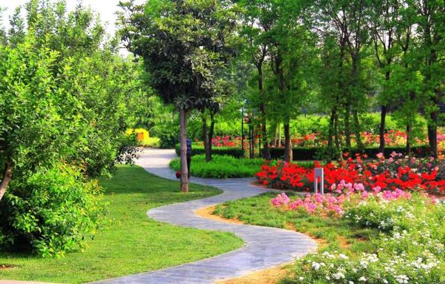 郑州五一近郊游的好地方,不出郑州就能游玩的地方