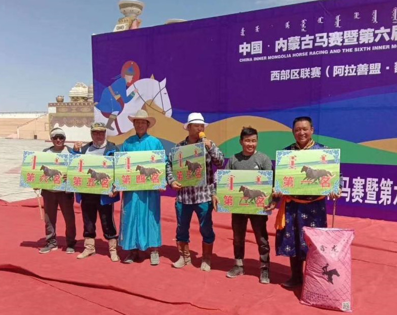 内蒙古马术节完整版,第六届内蒙古国际马术节开赛