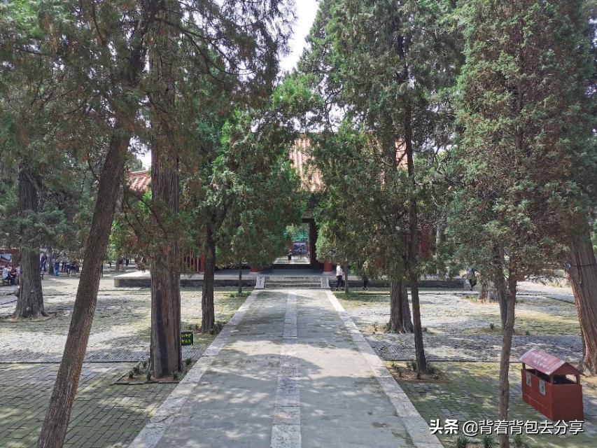 曲阜旅游攻略演出,曲阜必看演出