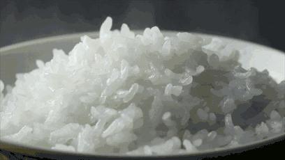 十大建议买的电饭锅推荐,推荐几款实用电饭锅