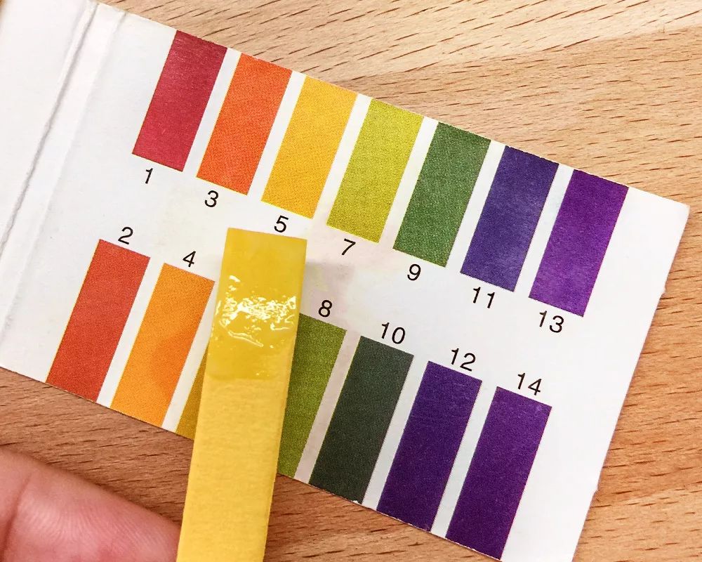 小型鱼缸养金鱼过滤哪种好用,养金鱼鱼缸需要过滤吗