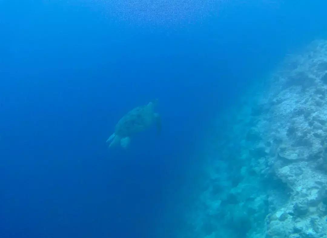 亚庇和仙本那七日旅游攻略,探寻星辰大海