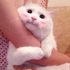 唱歌觉得很难听,唱歌很难听但自己觉得好