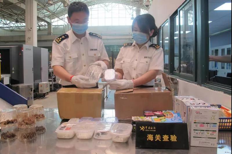 带月饼进出境注意事项,邮寄或携带月饼出入境