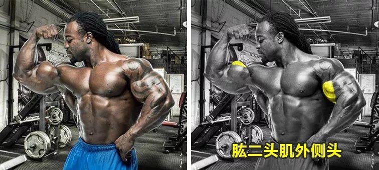 肱二头肌为什么不容易练大,苦练肱二头肌