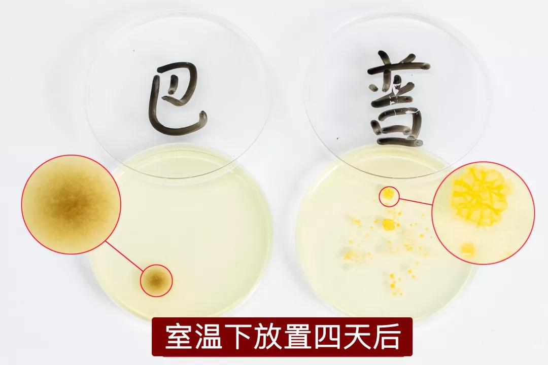 日本殿堂级加湿器：无雾无菌，净化空气，重新定义空气湿度的意义