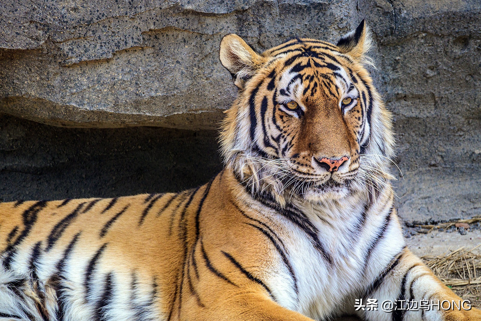 最好的aps-c画幅相机,不换镜头的aps-c相机推荐