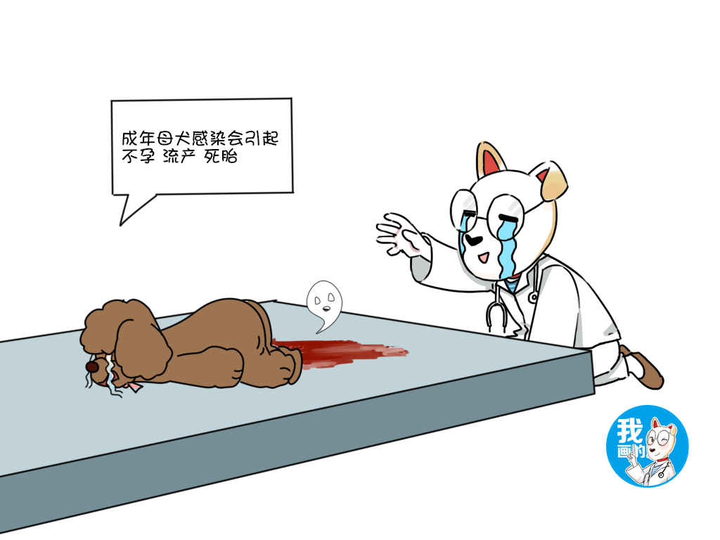 幼犬感染狂犬病多久会死,犬疱疹如何防治