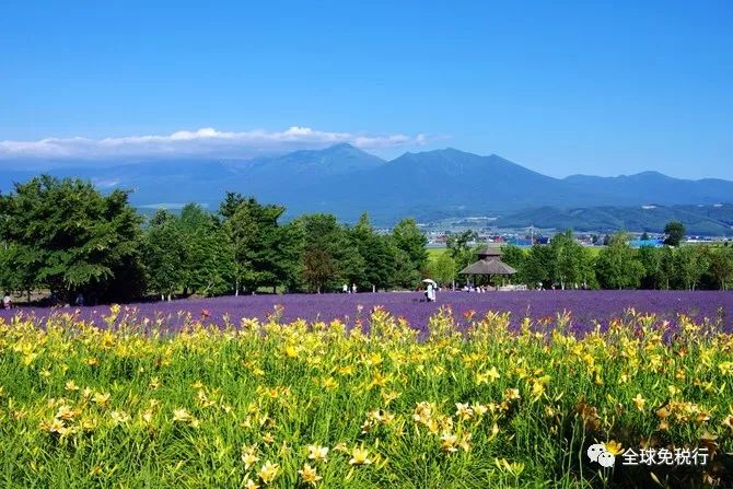 日本北海道旅游攻略4日游多少钱,日本北海道必逛